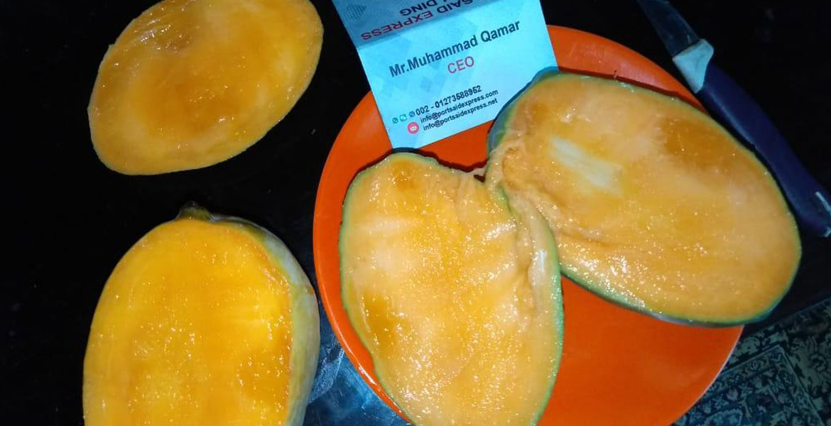 Home - Egypt Mango